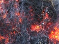 Close up of ashes, flames and smoke from burnt leaves, detailed structure Royalty Free Stock Photo