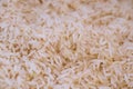 Close up of asia raw rice grain and dry rice background Royalty Free Stock Photo