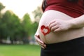 Close-up Asian Chinese pregnant woman belly shape of love family parents new-born babyconcept Royalty Free Stock Photo