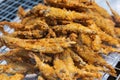 Close up of Asian Deep fried Shishamo fish,thai street food market Royalty Free Stock Photo