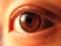 Close-up of asian eye
