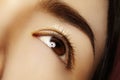 Close-up asian eye with clean makeup. Perfect shape eyebrows. Cosmetics and make-up. Care about eyes Royalty Free Stock Photo