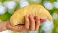 Close up Asian women hand holding durian fruit. Ripe durian. Tasty durian that has been, durian is the king of fruits. Is a famous