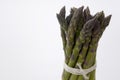 Close up asparagus heap isolated. Fresh vegetables. Copy space