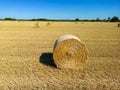 close up aspect view over a wheat field with bales of straw ready for collection Royalty Free Stock Photo