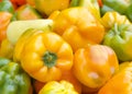 Close up on assorted bell peppers in various colors Royalty Free Stock Photo