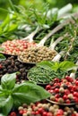 Close up of assorted herbs and spices in spoons, culinary ingredients for flavorful dishes