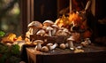 Close-up of assorted mushrooms. Created by AI