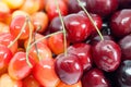 Close up on assorted ripe cherries varieties