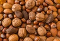 Close up of assortment nuts on a wooden table: wallnuts, almonds Royalty Free Stock Photo