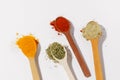 Close-up of an assortment of spices and herbs on a white isolated background. Dried basil, turmeric and paprika for cooking Royalty Free Stock Photo