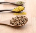 Close up of assortment spices in wooden spoons on wooden background