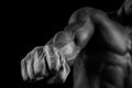 Close-up of athletic muscular arm and core Royalty Free Stock Photo