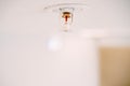 Close-up of an automatic ceiling fire sprinkler system on a white ceiling.