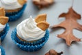 Close up autumn cupcakes decorated with cream and cookies leaves on gray wooden background. Soft focus. Thanksgiving day or Royalty Free Stock Photo