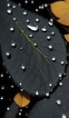 Close-up Of Autumn Leaf, Water Drops On Autumn Leaf, Leaf Background