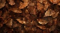 Close-Up of Autumn Leaves Texture Background Royalty Free Stock Photo