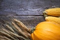 Close-up autumn pumpkins, corn and ripe ears of wheat on thanksgiving table, selective focus Royalty Free Stock Photo