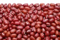 Close up of azuki red beans