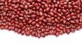 Close up of azuki red beans