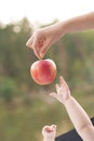 Close up of babies hands reaching out to apple in mother`s hand Royalty Free Stock Photo