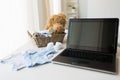 Close up of baby clothes, toys and laptop at home Royalty Free Stock Photo
