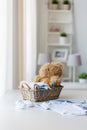 Close up of baby clothes and toys for newborn Royalty Free Stock Photo