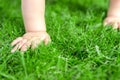 Close-up baby crowling through green grass lawn. Details infant hand walking in park . Child discovering and exploring Royalty Free Stock Photo