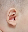 Close up baby ear