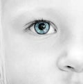 Close up baby eye Royalty Free Stock Photo