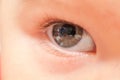 Close up of baby eye Royalty Free Stock Photo
