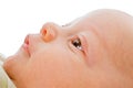 Close up on baby face Royalty Free Stock Photo