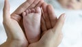 Close-up Baby feet in mother hands.Happy Family concept. Beautiful conceptual image of Maternity Royalty Free Stock Photo