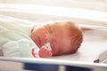 Close-up of a baby in ICU with nose tube feeding Royalty Free Stock Photo