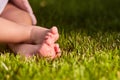 Close up of baby`s feet on the green grass on the meadow at warm day.