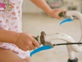 Close up of baby`s hands holding handlebars learning to ride a bicycle Royalty Free Stock Photo