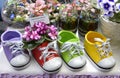 Close-up of baby shoes with violets in one of them and potted violets