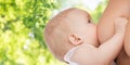 Close up of baby sucking mother breast Royalty Free Stock Photo