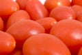 Close up of Baby Tomatoes