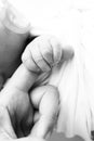 Close-up of baby& x27;s small hand, head, ear and palm of mother. Macro. Black and white Photo of Newborn Royalty Free Stock Photo