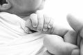 Black and white Photo of Newborn baby after birth tightly holding parents finger Royalty Free Stock Photo