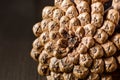 Close-up of the back of a pine cone isolated on black, showing the patterns of the fibonacci numbers.Pine cones on wooden Royalty Free Stock Photo