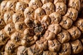 Close-up of the back of a pine cone isolated on black, showing the patterns of the fibonacci numbers.Pine cones on wooden Royalty Free Stock Photo