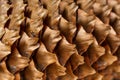 Close-up of the back of a pine cone isolated on black, showing the patterns of the fibonacci numbers.Pine cones on wooden Royalty Free Stock Photo