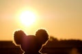 Soft toy koala bear head against sunlight. Fiery red sky, sunset and koala's silhouette. Sign and symbol pray fo