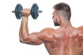 Close up back view on bodybuilders strong muscular arm lifting a dumbbell isolated on white background Royalty Free Stock Photo