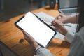 Close-up back view of a business team working in the office, looking at the screen. Royalty Free Stock Photo