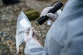 Close up back view on hands of unknown man forensic police collecting evidence in the plastic bag at the crime scene Royalty Free Stock Photo