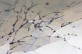 Close up background of broken smartphone display, texture, macro Royalty Free Stock Photo