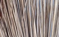 Close Up Background of Brown Coconut Leaf Stalks Royalty Free Stock Photo